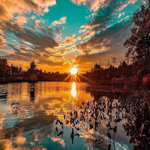 Meet your Posher, Alaa